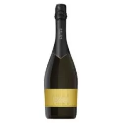 Vino & Vino Bio